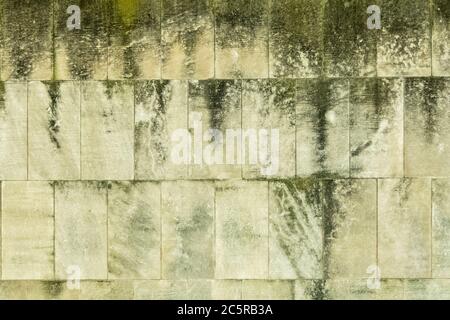 Grunge cinder block wall with stains from green mold. Stock Photo