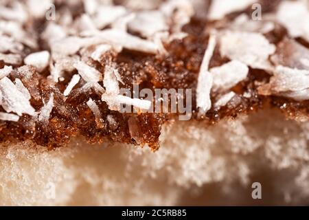 Ultra macro photo of a soft and fluffy lamington with a rich chocolate layer and fine shredded coconut Stock Photo