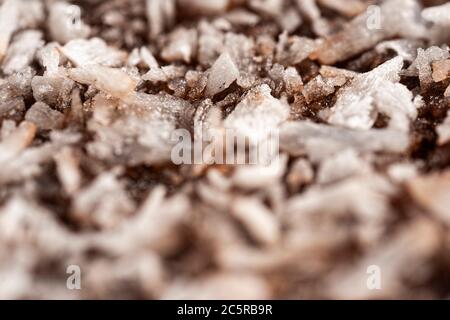 Ultra macro photo of a soft and fluffy lamington with a rich chocolate layer and fine shredded coconut Stock Photo