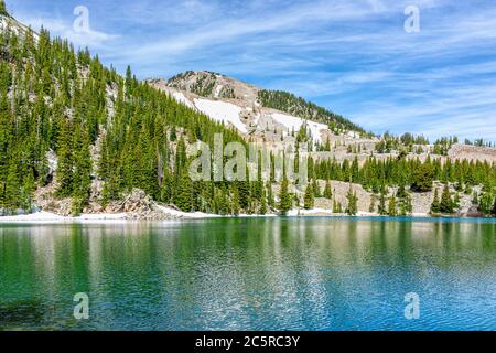 Pine tree forest plants and green alpine lake water reflection on Thomas Lakes Hike in Mt Sopris, Carbondale, Colorado landscape view Stock Photo