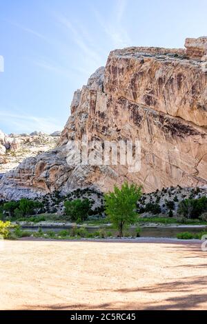 Green trees and river from Split Mountain Campground in summer in Dinosaur National Monument Park, Utah vertical view Stock Photo