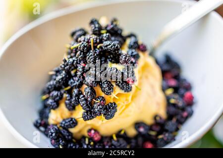 Macro closeup of yellow mango banana nice ice cream topped with fresh black mulberries berries in white bowl Stock Photo