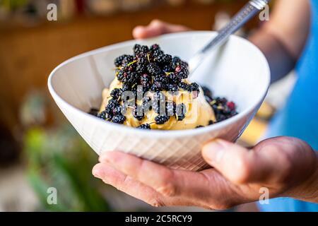 Macro closeup of person hands holding yellow mango banana nice ice cream topped with fresh black mulberries berries in white bowl