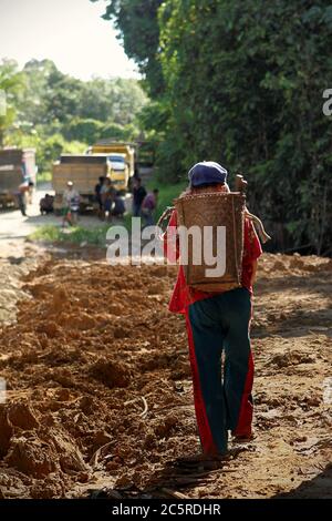 A woman farmer walking on the roadside as a road infrastructure is being developed in a remote area within Kapuas Hulu regency, West Kalimantan province, Indonesia. Archival photo (2012).  In remote Kalimantan, local communities have been relying on rivers and walking pathways for mobility and transportation for decades. The new road construction will connect the cities of Melak (East Kalimantan province) and Putussibau (West Kalimantan province) on its longest span, and is expected to cut at least a half of traditional travel time between all of the connected cities and villages. Stock Photo