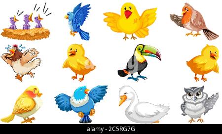 Set of different birds cartoon style isolated on white background illustration Stock Vector