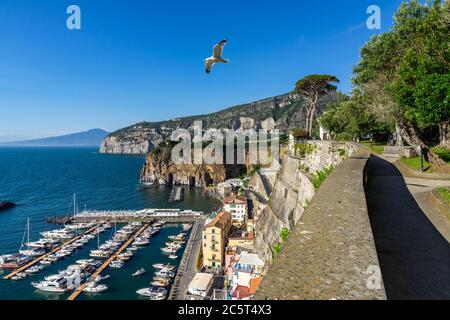 A seagull flying from the gardens of Villa Fondi de Sangro, Piano di Sorrento, Campania, Italy Stock Photo