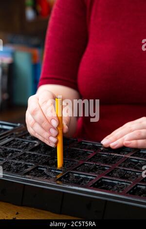 Using a pen as a seed dibber to create holes Stock Photo