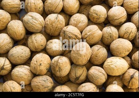 Closeup of brown raw walnuts background Stock Photo