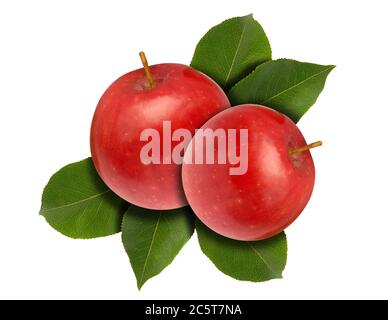 Two red apples with green leaves isolated over white. Stock Photo