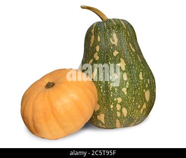 Two pumpkins isolated over white with shadow. Clipping path. Stock Photo