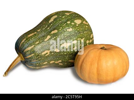 Two pumpkins isolated over white with shadow. Clipping path. Stock Photo