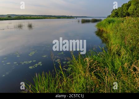 The scenery on which is a beautiful river at sunrise, in the sunlight. Stock Photo
