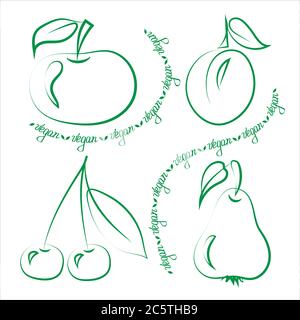 vegan food, a set of drawn vegetables and fruits for the design of promotional materials, for cafes and restaurants Stock Vector