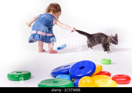 A small child plays with teaching colored toys and holds a gray kitten by the tail. Stock Photo