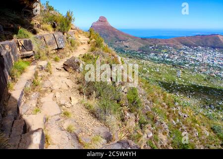 Table mountain hiking path with view of Lion's Head and Signal Hill. Cape Town, Western Cape, South Africa. Stock Photo