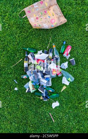 Pesticides and plasticsplenary neglect essay 03 image