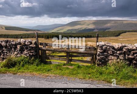 A sheep pasture gateway in a dry stone wall stands on a high moorland lane above the fields and forests of Garsdale valley in England's Yorkshire Dale Stock Photo