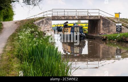 A boater navigates a traditional narrowboat under bridge 165 on the Kennet and Avon Canal at Hilperton Marsh near Trowbridge in Wiltshire. Stock Photo