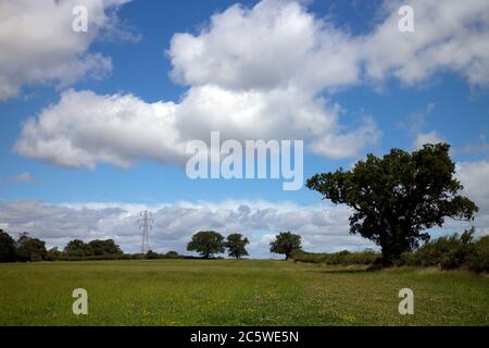 Agricultural landscape in summer with puffy white clouds in the sky, Warwickshire, UK Stock Photo