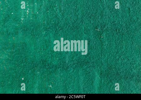 Photo of a green textured wall Stock Photo