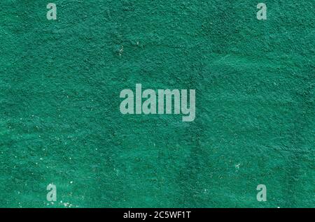Photo of a green textured wall Stock Photo