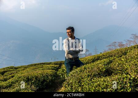 a young Indian male model standing in tea garden wearing t-shirt and jeans Stock Photo
