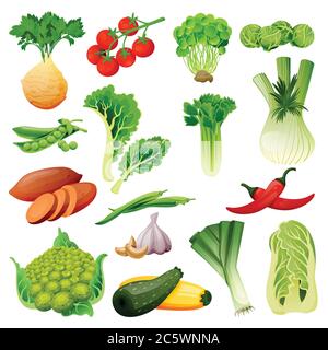 Farm fresh vegetables set. Vector flat cartoon illustration. Isolated celery, tomato, brussels cabbage, peas, leek and green beans. Autumn farming and Stock Vector