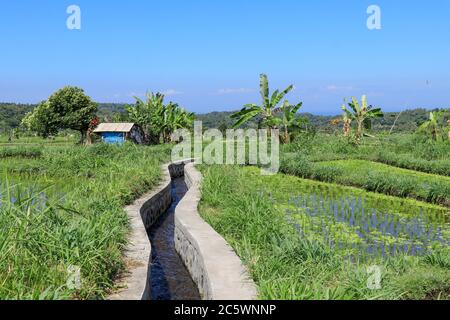 Water canal for paddy rice field irrigation Stock Photo