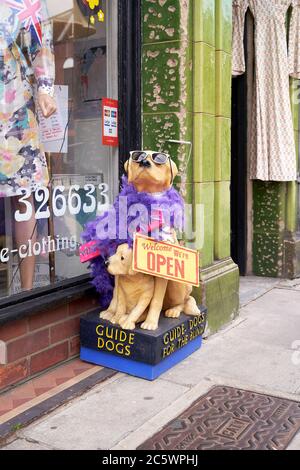 Guide dogs for the blind charity collection box dressed in