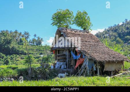 Eco-friendly Tribal Hut in fields having thatched roof, made from biodegradable Bamboo Straws and sticks. A Typical house form of Tribal areas used by Stock Photo