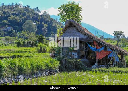 Eco-friendly Tribal Hut in fields having thatched roof, made from biodegradable Bamboo Straws and sticks. A Typical house form of Tribal areas used by Stock Photo