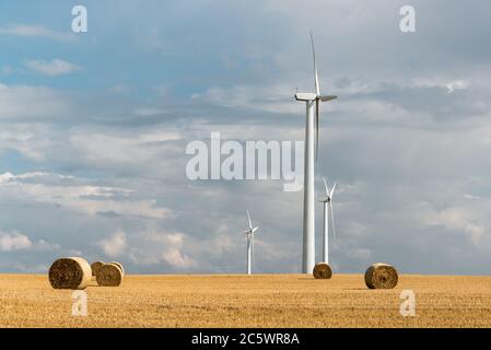 Windkraftanlagen im Getreidefeld Stock Photo