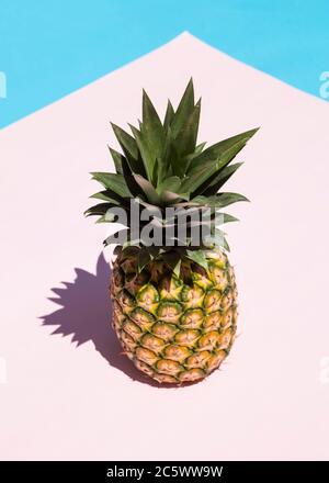 Pineapple on pink and blue background with the shadow Stock Photo
