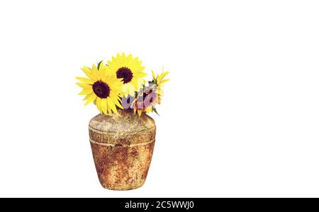 Sunflowers in a pottery vase, isolated on white.