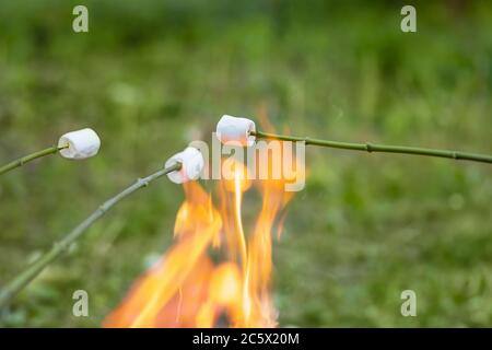 toasted marshmallow on wooden stick Stock Photo