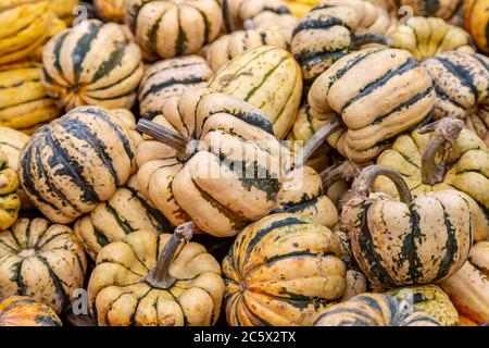 A full frame photograph of sweet dumpling squash on a market stall