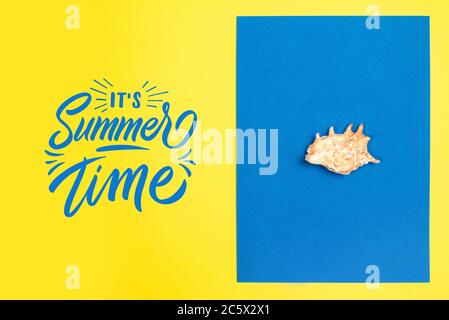 Orange seashell on a blue and yellow background Stock Photo
