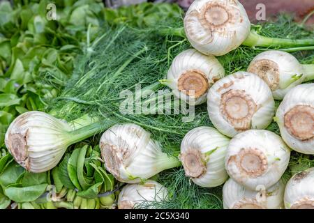 A Pile of Fennel Bulbs For Sale at a Farmers Market Stock Photo