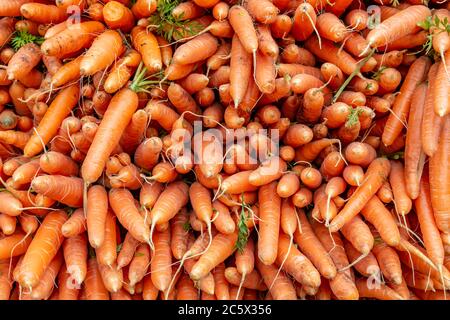 An Abundance of Carrots Piled up on a Market Stall Stock Photo