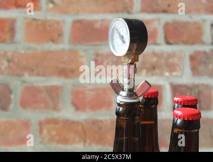 Beer bottle pressure gauge (aphrometer) in a bottle of home brewed beer, against a brick wall background, with copyspace to left. Home brewing concept Stock Photo