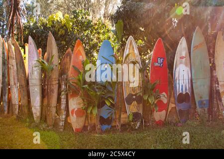 Hazy, summer vibe shot of a surfboard wal inl upcountry Kula on Maui. Stock Photo