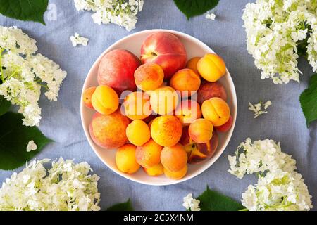 Vase of flowers viburnum opulus Roseum and ripe juicy apricots and peaches , top view Stock Photo