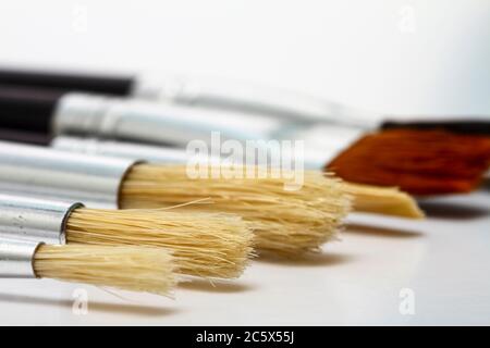 selection of artists bristle paint brushes isolated on white Stock Photo