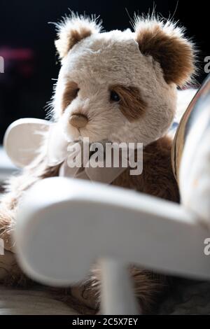 A large brown and white plush teddy bear by Charlie Bear called Daniella, sitting on a white rocking chair lit by sunlight Stock Photo