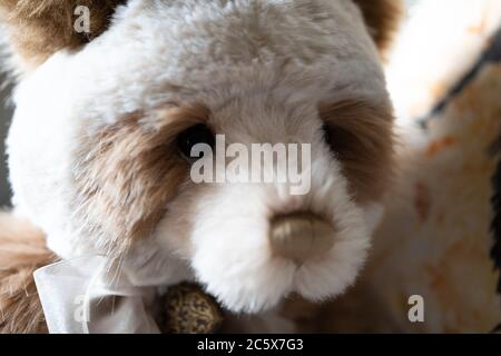 A large brown and white plush teddy bear by Charlie Bear called Daniella, sitting on a white rocking chair lit by sunlight Stock Photo