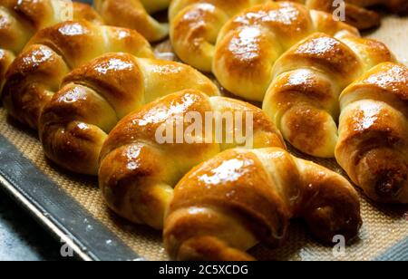 Argentine croissants, medialunas de Manteca over silicon pastry mat background Stock Photo