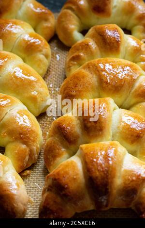 Argentine croissants, medialunas de Manteca over silicon pastry mat. Vertical Stock Photo