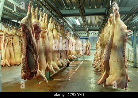 Slaughterhouse or butchery, halves of pork carcasses hanging on hooks in a cold storage warehouse. Frozen red meat in the refrigerator. Products of th Stock Photo