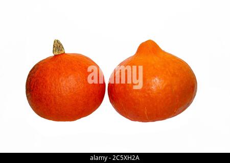Ripe orange pumpkin and slices isolated on a white background. Composition of round orange pumpkins isolated on a white background. Symbol of Hallowee Stock Photo