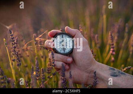 hand holds a compass in flower field Stock Photo